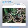 Spiral Wound Gasket with Inner and Outer Rings